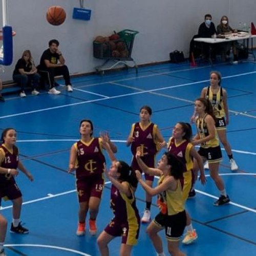 Basquetebol "Auri-Negro" com 4 equipas em competições nacionais