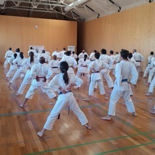 Estágio Nacional de Karate-Do foi um sucesso!