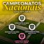 Três escalões masculinos da Academia juntos nos Campeonatos Nacionais após 11 anos